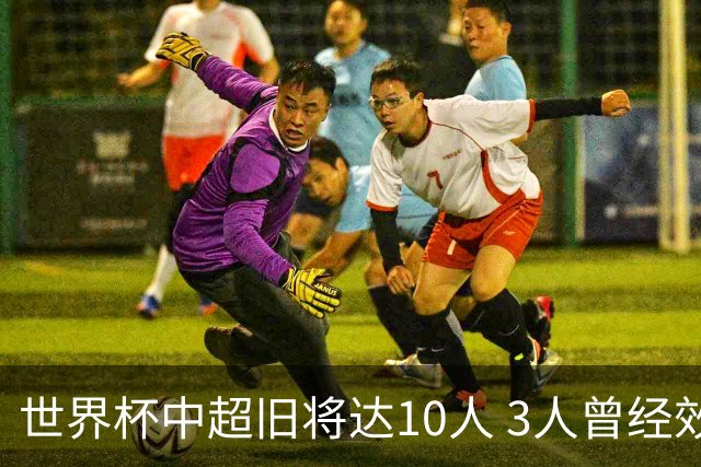 世界杯中超旧将达10人 3人曾经效力国安海港两将