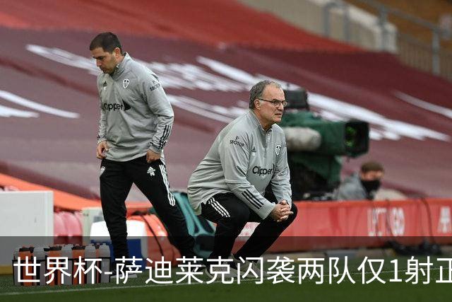 世界杯-萨迪莱克闪袭两队仅1射正 捷克半场暂1-0南非
