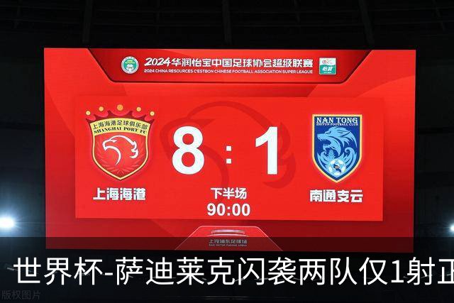 世界杯-萨迪莱克闪袭两队仅1射正 捷克半场暂1-0南非