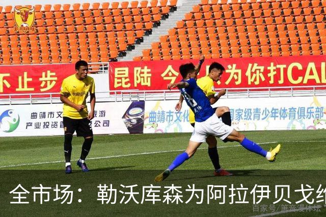 全市场：勒沃库森为阿拉伊贝戈维奇要价3000万欧
