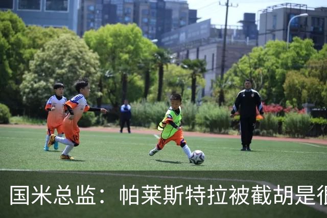 国米总监：帕莱斯特拉被截胡是很正常的事 我们与英超有经济差距