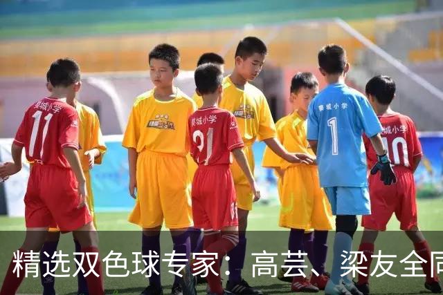 精选双色球专家：高芸、梁友全同中二等279万！