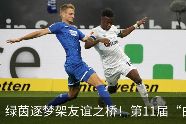 绿茵逐梦架友谊之桥！第11届“白洋淀杯”上海国际少年足球赛开赛