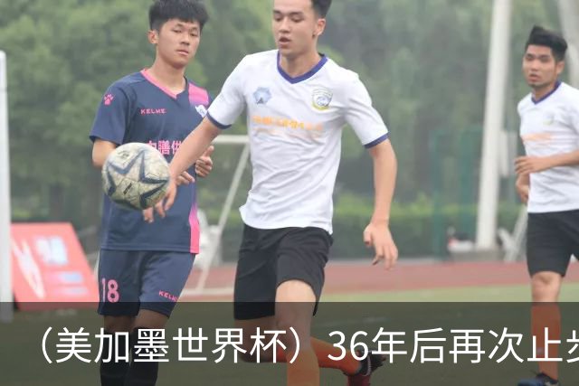 （美加墨世界杯）36年后再次止步16强 巴西距“六星之梦”仍遥远
